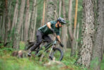 ROCKRIDER Vélo VTT tout suspendu All Mountain FEEL 700 S, vert – Image 11