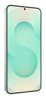 Samsung - Galaxy S25 Plus (5G) 256 Go, Menthe – Image 7